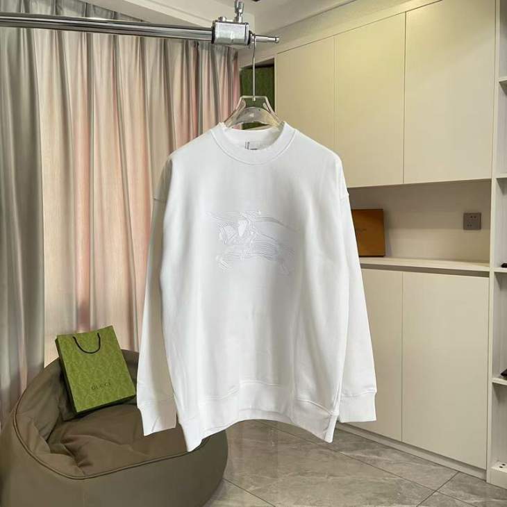 Picture of Burberry Sweatshirt _SKUBurberryS-2XLxetr29731040
